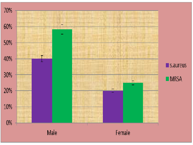 Distribution of isolates in relation to sex from Doctor’s mobile phone.